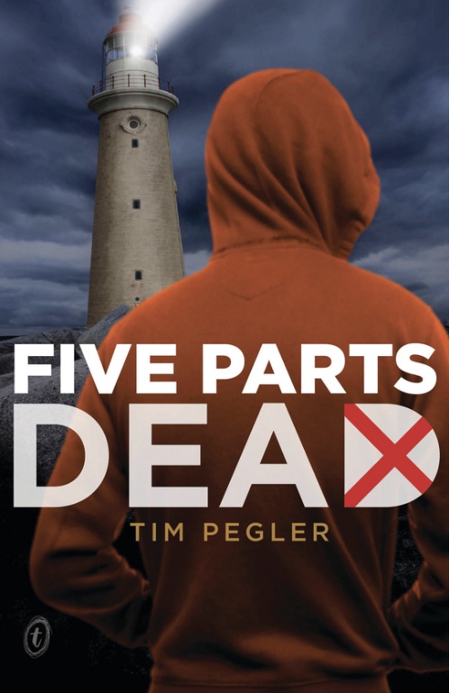 Book cover shows a boy in a hoodie standing with his back to us. In the background a lighthouse shines it’s lantern into a gloomy sky.